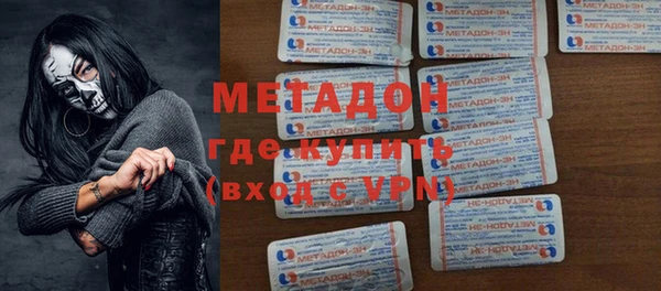 индика Няндома