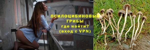 трава Абдулино