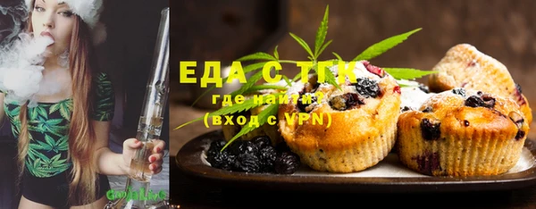 индика Няндома
