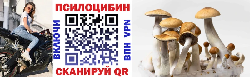 купить закладку  Юрюзань  Галлюциногенные грибы GOLDEN TEACHER 